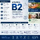 vitamina b2 usos.webp