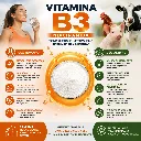 Vitaina B3 usos.webp