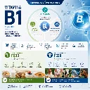 Vitamina B1 usos.webp